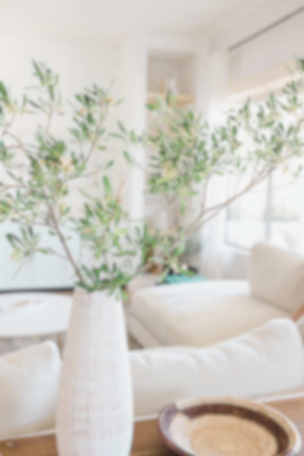 Minimalist Living Room Design